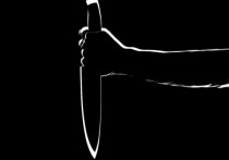 Набросился с ножом на ветврача 49-летний житель села Старо-Белокатай в Белокатайском районе Башкирии, трудившийся на животноводческой	ферме