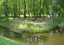 В Воронцовском парке рядом с детской площадкой обнаружили расчлененный труп