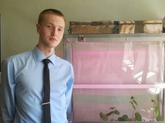 Костромские студенты удивили дачников садово-огородным ноу-хау