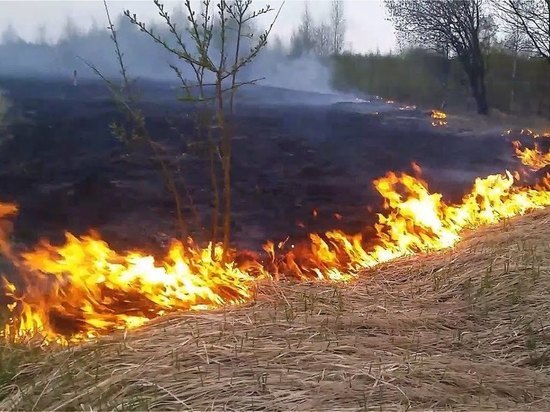 Угроза пожаров охватила свыше десятка тульских районов