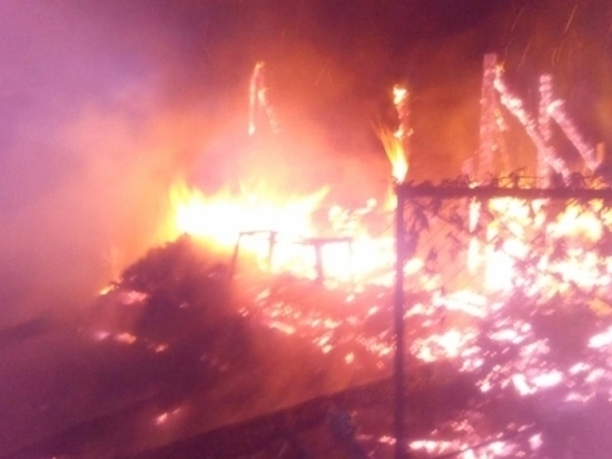 В Тульской области сгорела дача
