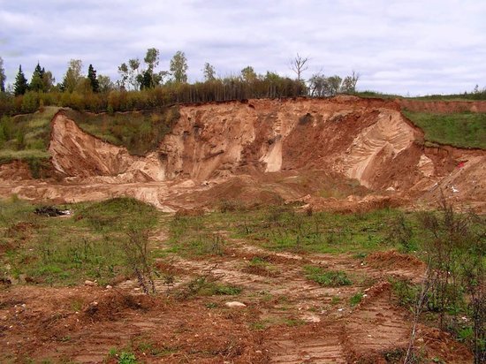 Зарос сорняками – заплати штраф