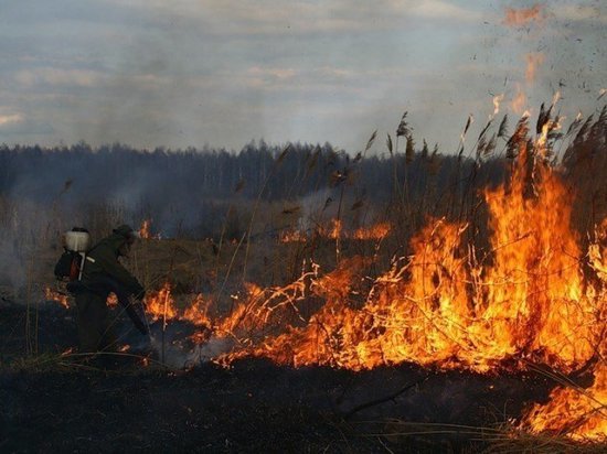 В Эстонии выпущенная по ошибке ракета спровоцировала торфяной пожар