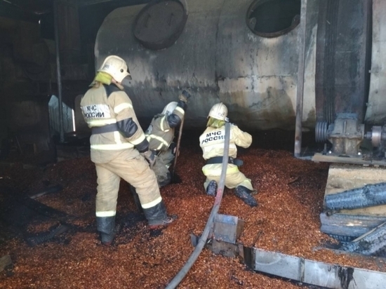 16 пожарных тушили ангар в Щекинском районе