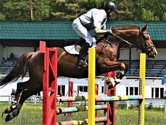 В выходные в Костроме пройдёт летний чемпионат города по конному спорту