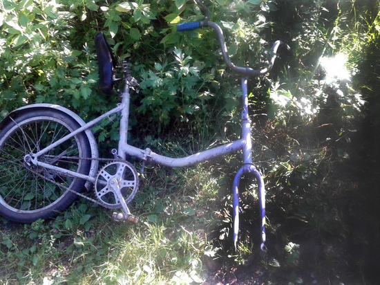 В Щекинском районе КАМАЗ сбил маленького велосипедиста