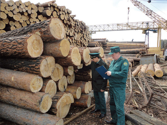 Кузбасс снабжает лесом более 20-ти китайских компаний