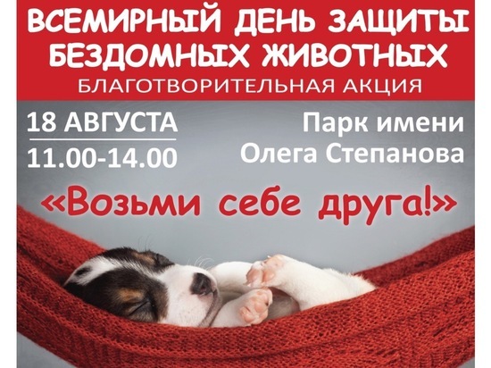В Серпухове состоится акция сбора помощи бездомным животным