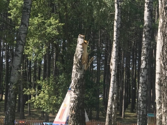 В Новомосковске упавшее дерево чудом не зацепило детский батут
