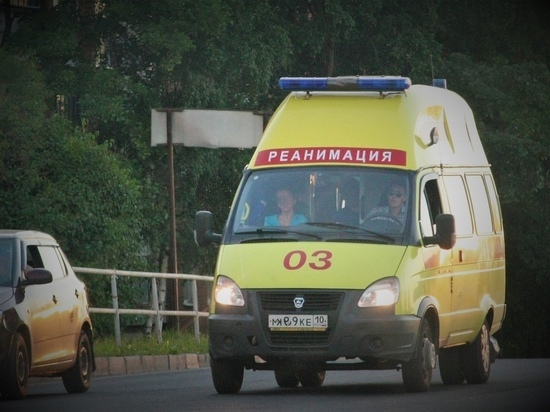 Жителя Лоухского района насмерть сбила машина в Петрозаводске