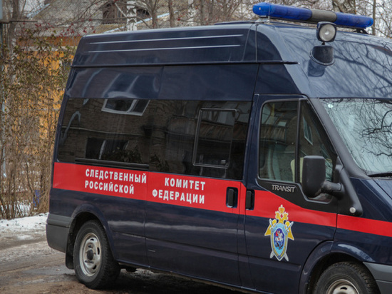 В Пономаревском районе мужчина до смерти избил свою сожительницу
