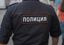 С форменной одежды сотрудников МВД России, работающих «на земле», может исчезнуть нашивка «Полиция»