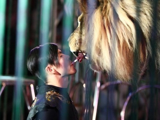 «Евро Цирк» привезет в Петрозаводск незабываемые номера со всего мира