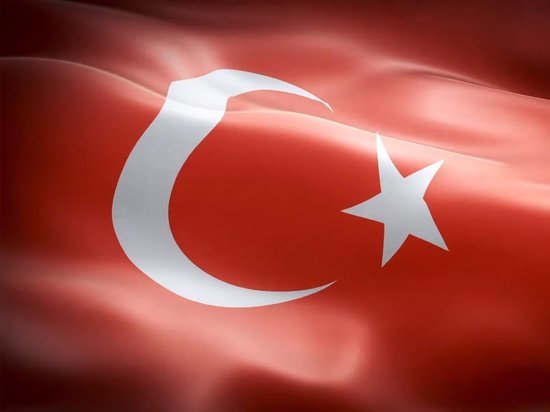 Турция ударила пошлинами по 22 видам товаров США