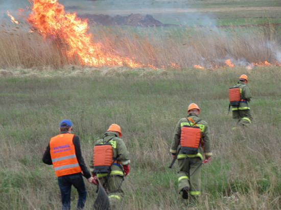 МЧС: в Воронежской области объявлена чрезвычайная пожарная опасность