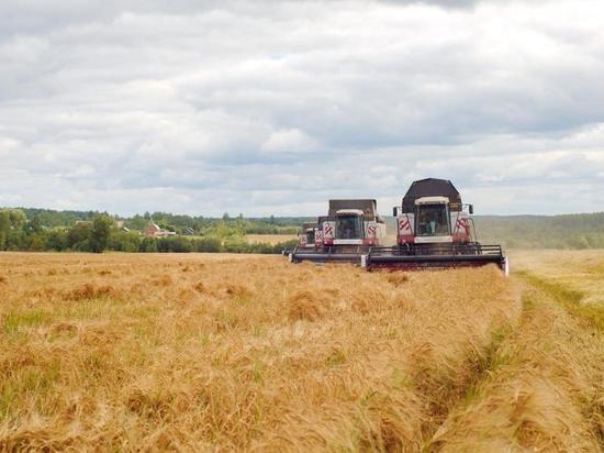 Агропромышленные хозяйства Ржевского района приступили к уборке урожая
