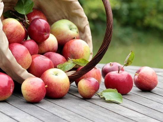 Яблочный фестиваль пройдет в Калуге