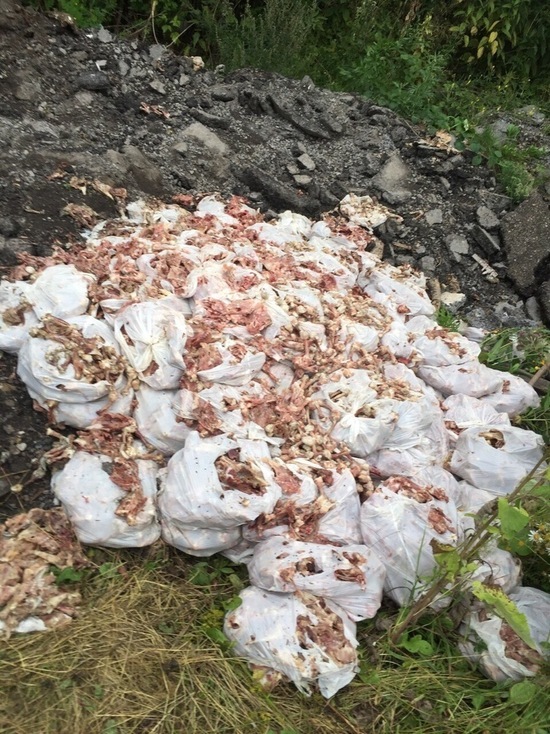 Кемеровчане оказались шокированы найденными куриными останками