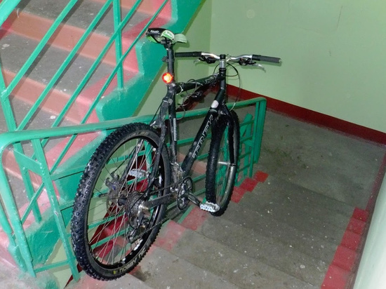 Полицейские не смогли вернуть тверитянке велосипед, но вора поймали