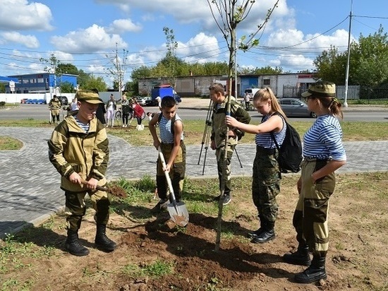 Более сотни молодых деревьев украсили улицы Серпухова