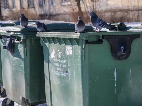 Последствия реформы в Карелии: кто должен убирать мусорную площадку