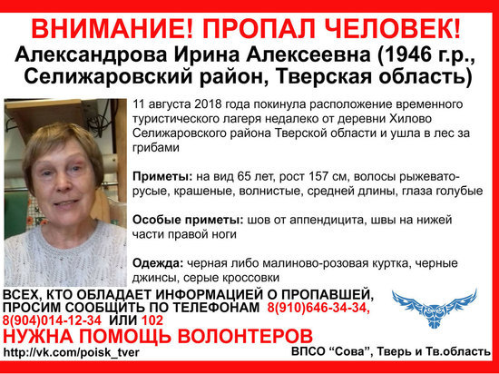 В Тверской области пожилая женщина вышла из лагеря за грибами и пропала