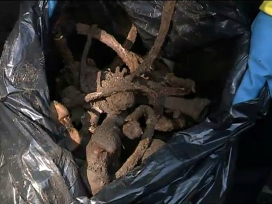 В центре Омска нашли неопознанный скелет