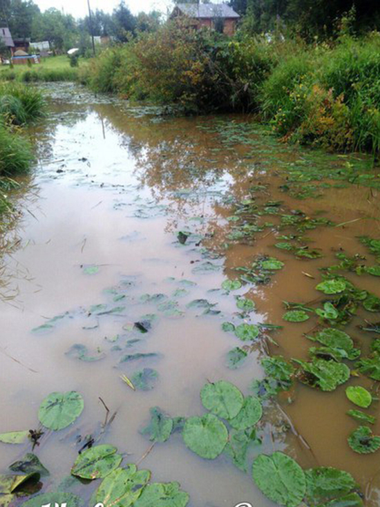 Мутное дело: следователей привлекла грязная река в Тверской области