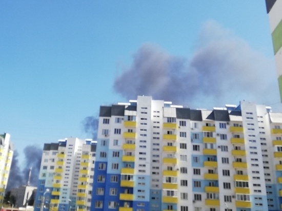 Тучи дыма в небе над Волжским появились из-за пожара на пустыре