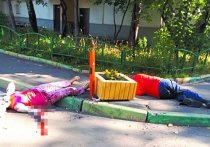Страшное убийство взбудоражило тихий двор на улице Нижняя Масловка утром в воскресенье