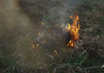Пламя беспощадно уничтожило свыше 20 га зеленых зон