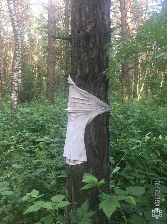 Кемеровчанку испугали вещи в лесу около захоронения