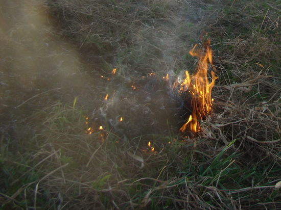 С начала пожароопасного сезона в области зарегистрировано 34 лесных возгорания.