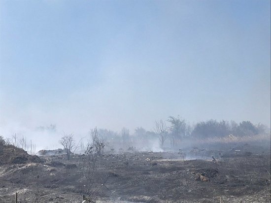  55 спасателей и два вертолета тушили крупный пожар в Ростове-на-Дону