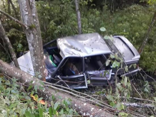 Водитель ВАЗа в Тверской области столкнулся с деревом в кювете
