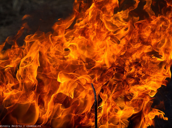 Пожилой мужчина сгорел на своей даче в Тверской области