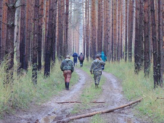 Официальные поиски заблудившейся пенсионерки из Тверской области завершились