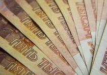 Просроченная задолженность по заработной плате за июль увеличилась на 586,3 млн рублей (20,9%) по отношению к июню