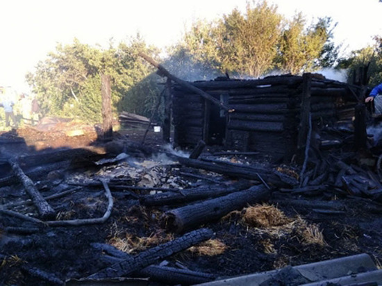 В Чувашии шестилетний внук хозяйки спалил надворные постройки