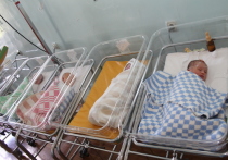 Спад числа новорожденных обсудили члены координационного совета по государственной семейной политике при региональном правительстве