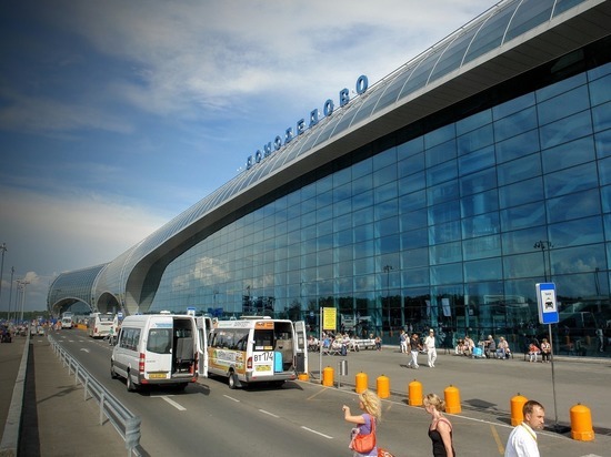Контрабандист из США избил таможенника в аэропорту «Домодедово»