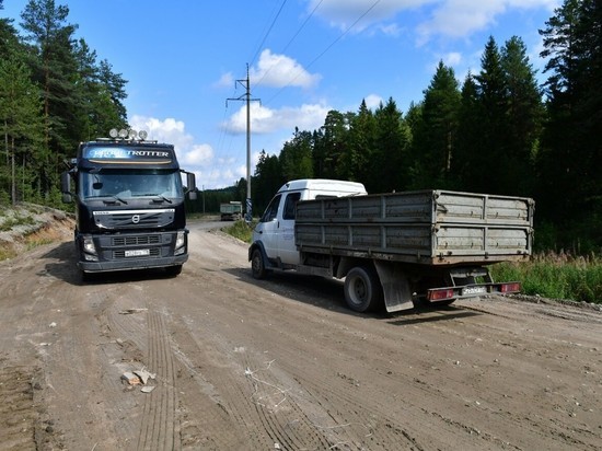 Компанию, привезшую питерский мусор в Пряжу, заставят увезти его