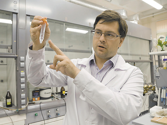 Ученый рассказал, как в Курчатовском институте создают природоподобные материалы для медицины