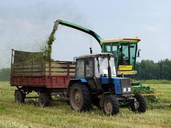 В Костромской области 8 районов полностью заготовили корма на зиму