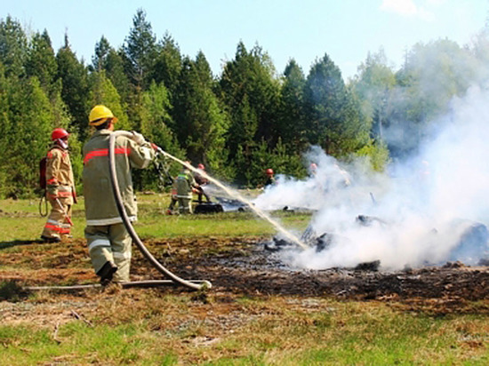 В лесах Чувашии регистрируется наивысший класс пожарной опасности