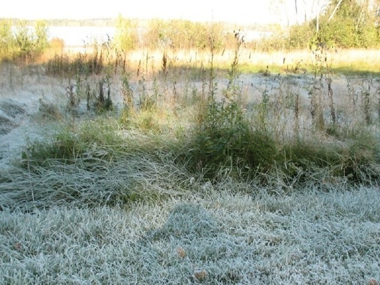 В Архангельскую область сегодня ночью придут первые заморозки