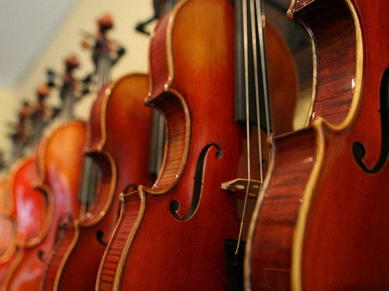 Средь шумного бала: первая скрипка – об особенностях работы в оркестре