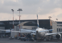 Группа нетрезвых евреев, собиравшихся улететь на паломничество в Умань (Украина), устроили дебош в самолёте в аэропорту Тель-Авива
