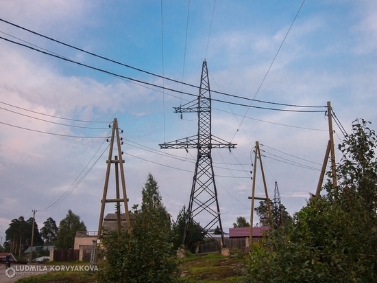 Спешить или медлить: дачники лишили света одну из деревень Карелии
