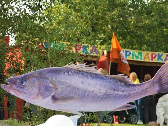 Рыбный праздник и не только: в Петрозаводске прошла Калакунда